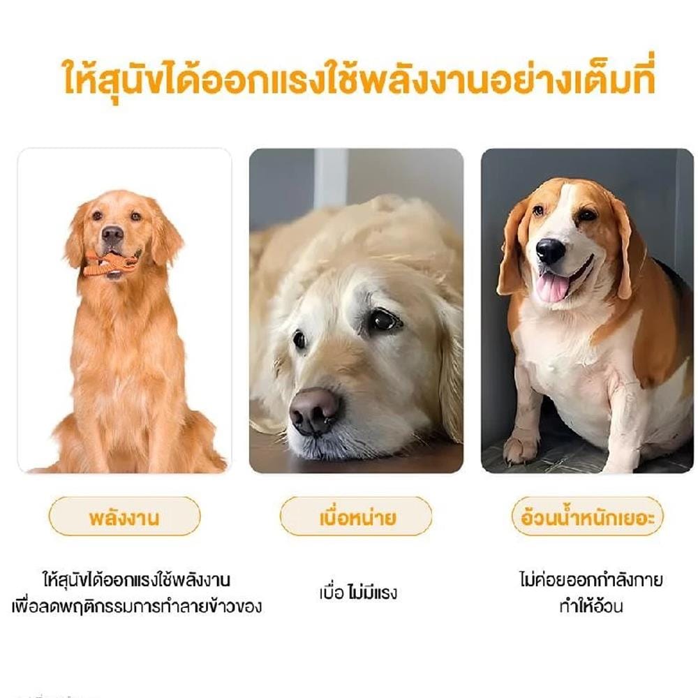 ของเล่นสุนัข MOMOVIDA DT-13 สีม่วง