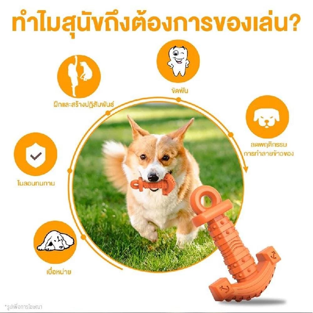 ของเล่นสุนัข MOMOVIDA DT-14 สีม่วง
