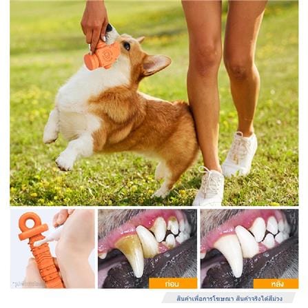 ของเล่นสุนัข MOMOVIDA DT-14 สีม่วง_1