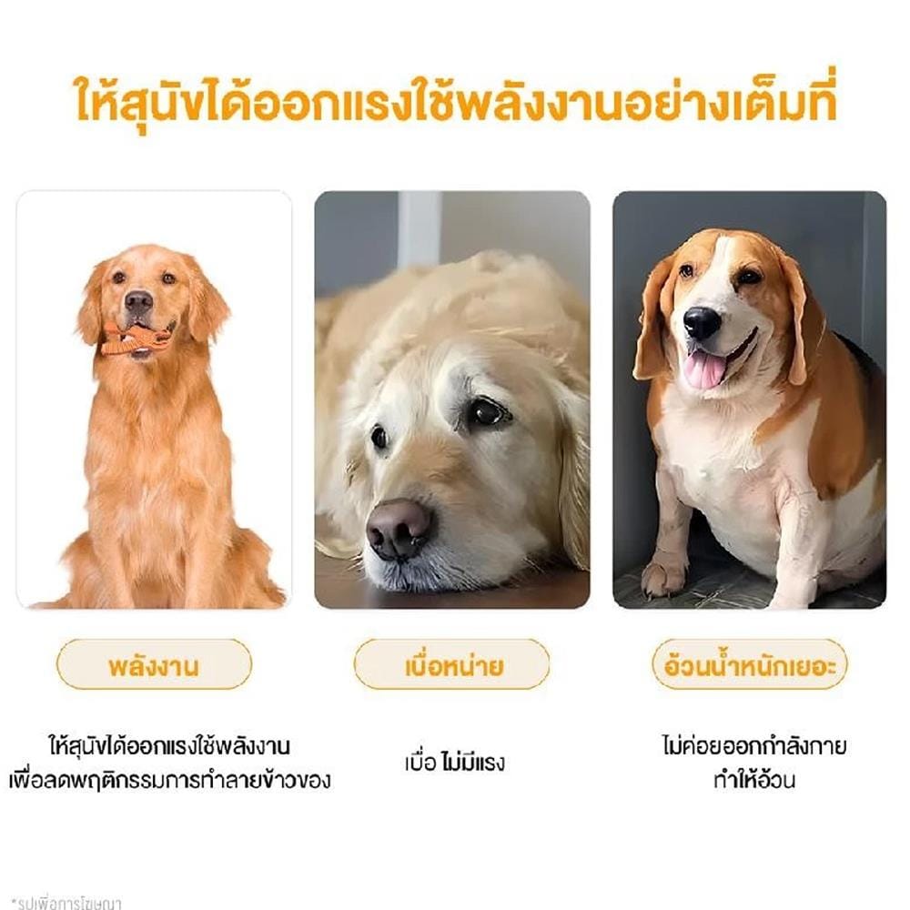 ของเล่นสุนัข MOMOVIDA DT-12 สีส้ม