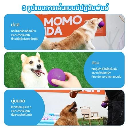 ของเล่นสุนัข MOMOVIDA RUBBER FOOTBALL DT-15 สีม่วง_4