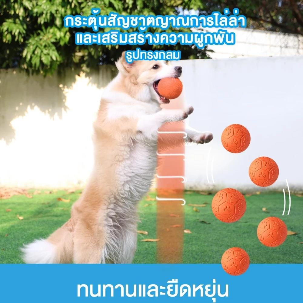 ของเล่นสุนัข MOMOVIDA RUBBER FOOTBAL DT-15L สีม่วง