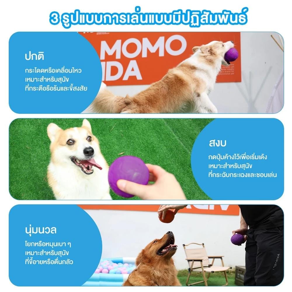ของเล่นสุนัข MOMOVIDA RUBBER FOOTBAL DT-15L สีม่วง