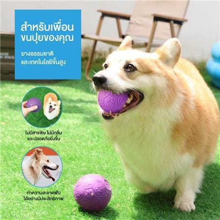 ของเล่นสุนัข MOMOVIDA RUBBER FOOTBAL DT-15L สีม่วง_2