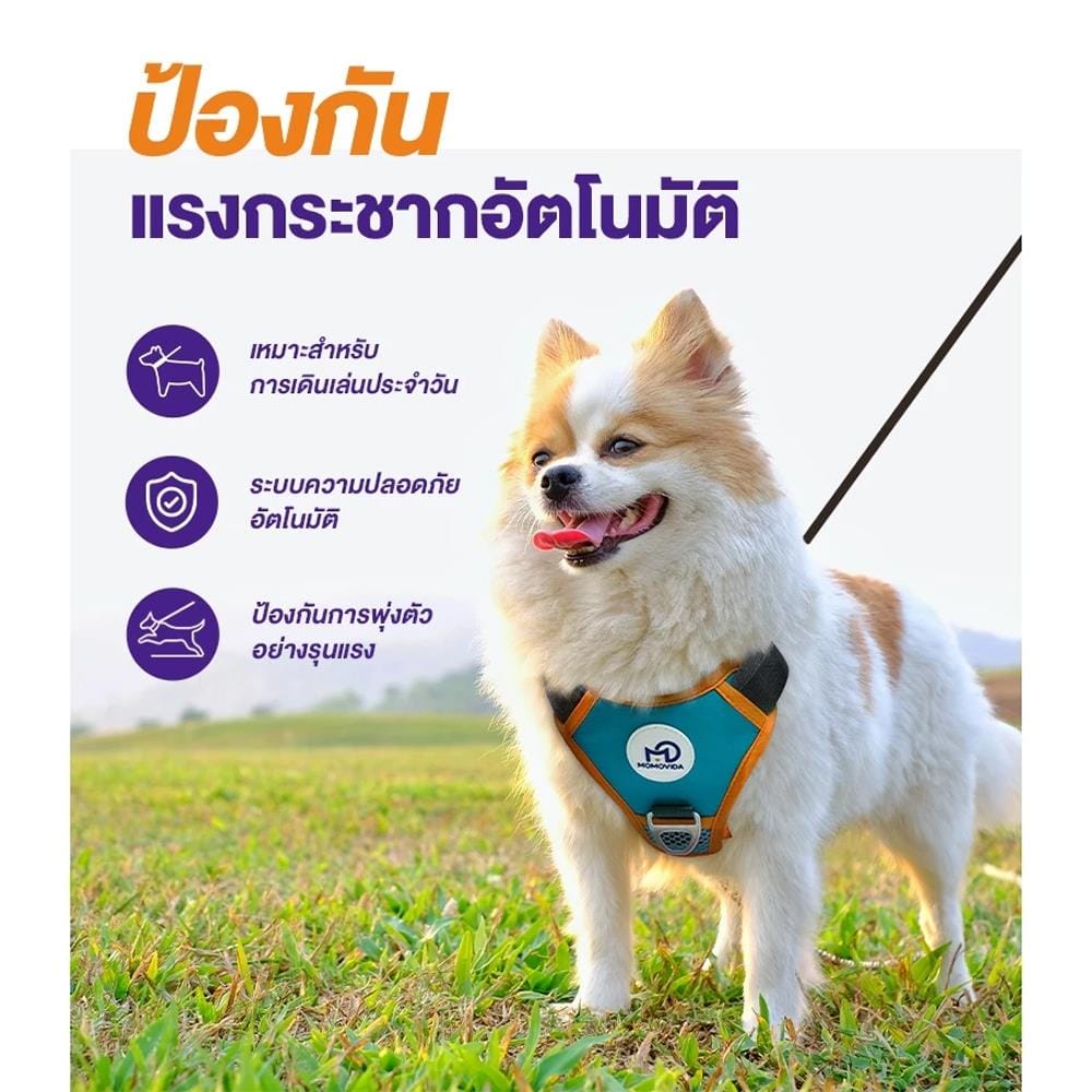 สายจูงสุนัข MOMOVIDA DL-S สีเขียว