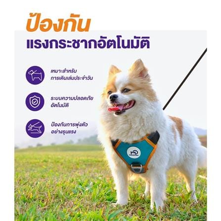 สายจูงสุนัข MOMOVIDA DL-S สีเขียว_3