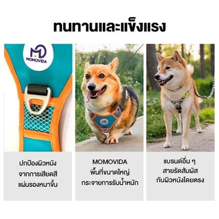 สายจูงสุนัข MOMOVIDA DL-S สีเขียว_4