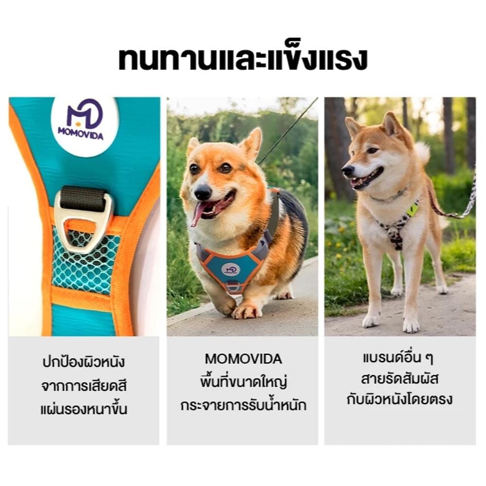 สายจูงสุนัข MOMOVIDA DL SIZE XL สีเขียว