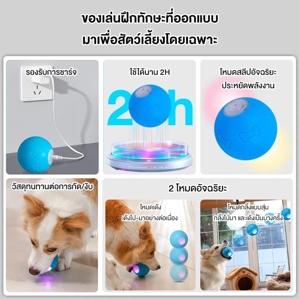 ของเล่นสำหรับสุนัข MOMOVIDA DT1 สีฟ้า