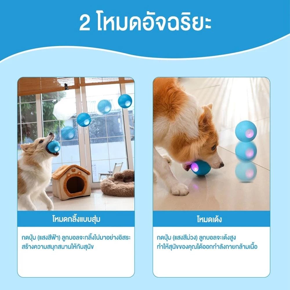 ของเล่นสำหรับสุนัข MOMOVIDA DT1 สีฟ้า