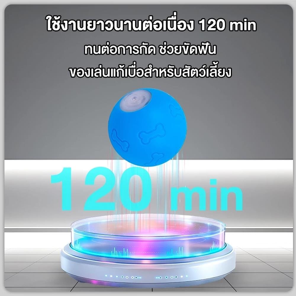 ของเล่นสำหรับสุนัข MOMOVIDA DT1 สีฟ้า