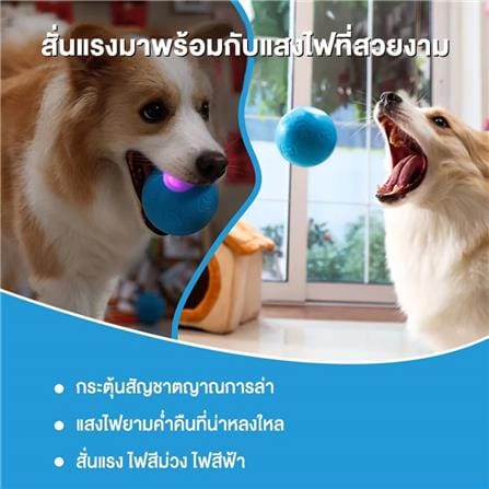 ของเล่นสำหรับสุนัข MOMOVIDA DT1 สีฟ้า_5