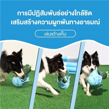 ของเล่นสำหรับสุนัข MOMOVIDA DT-4 สีเขียว_2