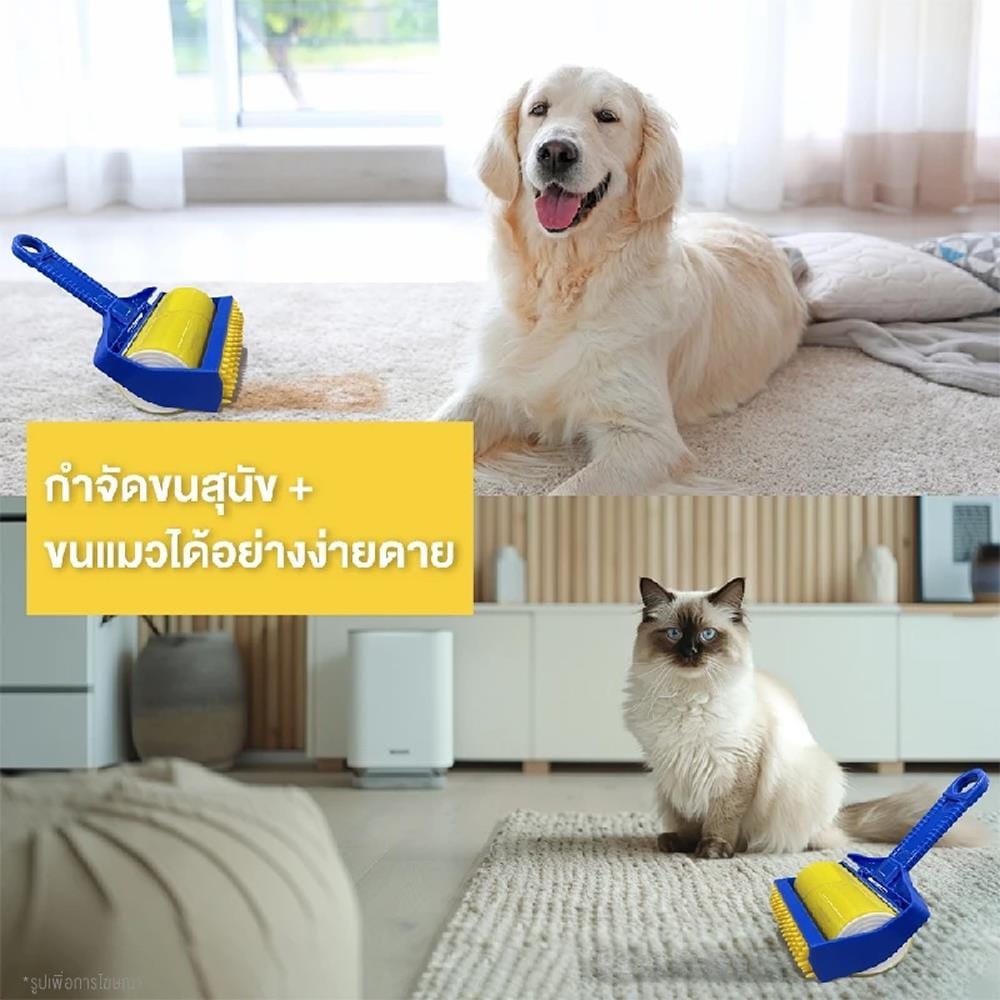 แปรงหวีขนและกำจัดขน MOMOVIDA PB-1 2IN1 สีน้ำเงิน