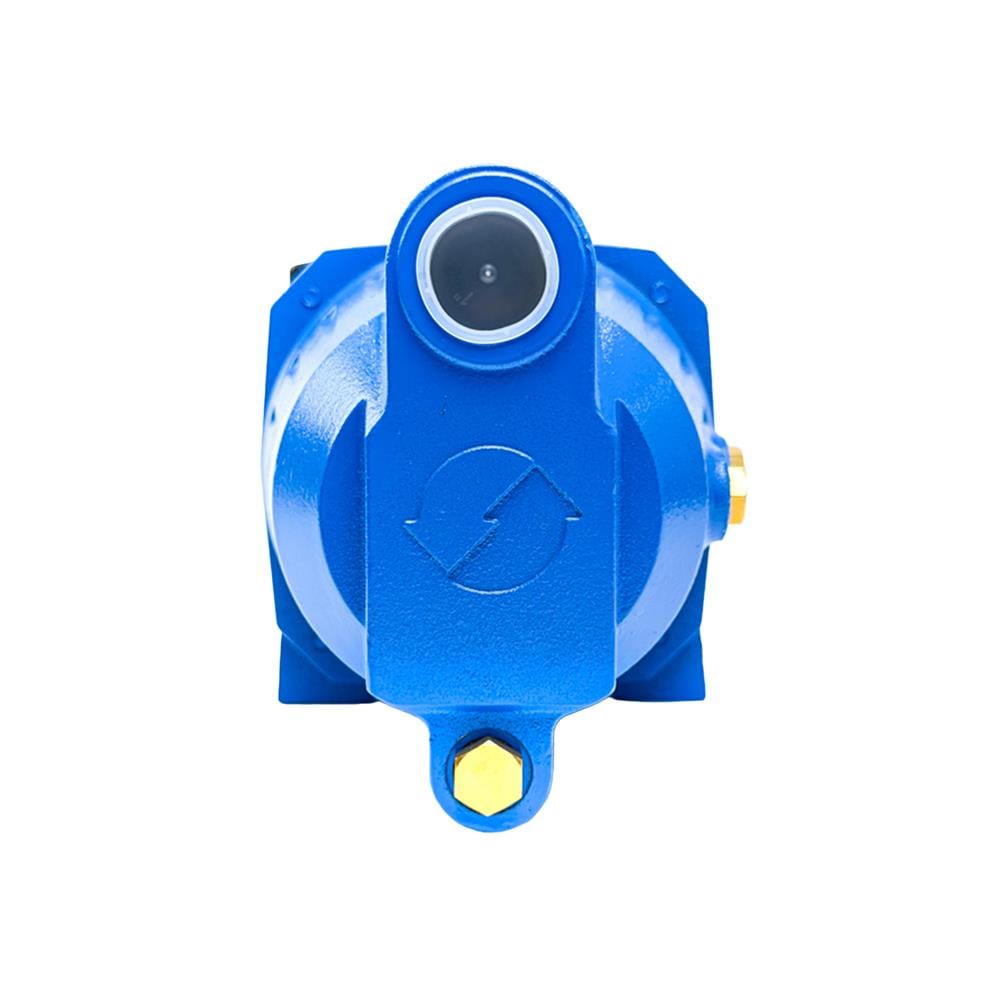 ปั๊มหอยโข่ง RADISON RDC-JET100L 1 แรงม้า