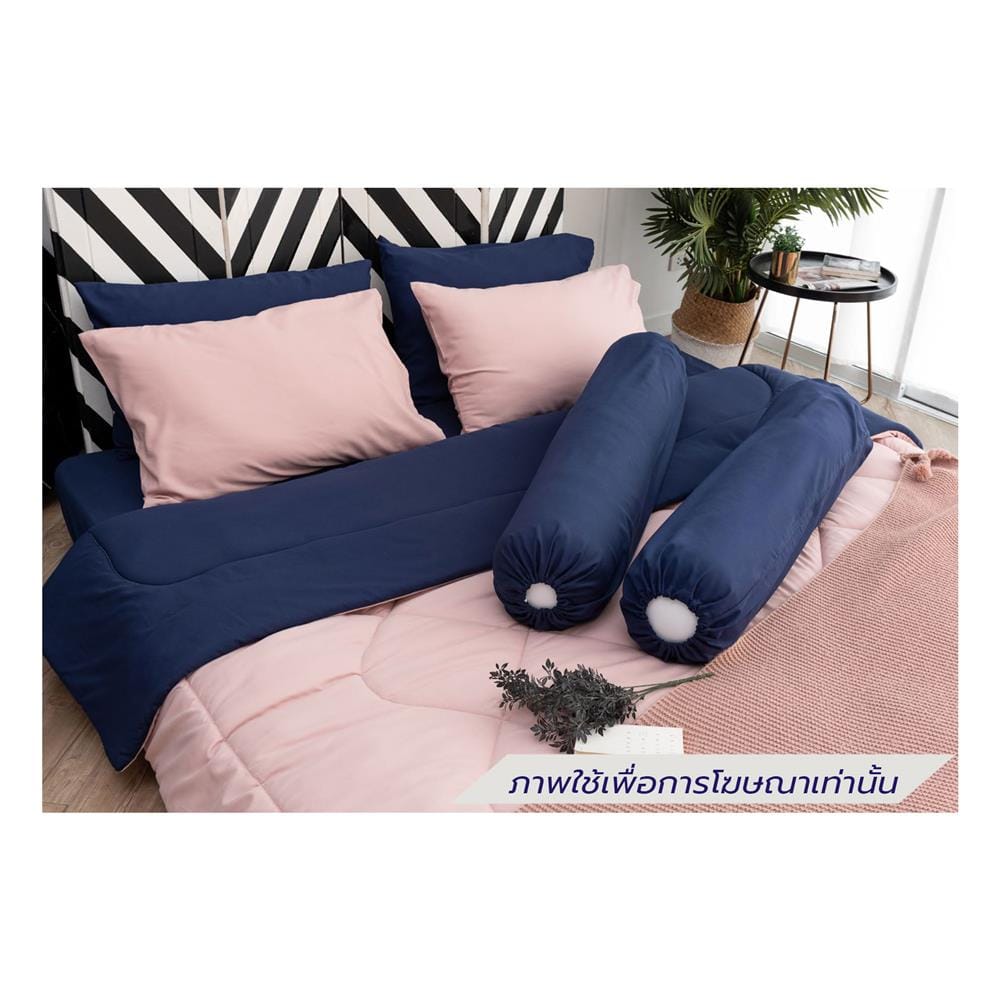 ชุดผ้าปูที่นอน 6 ฟุต (ชุด 6 ชิ้น) SANTA BEDDING สี NAVY BLUE/PINK