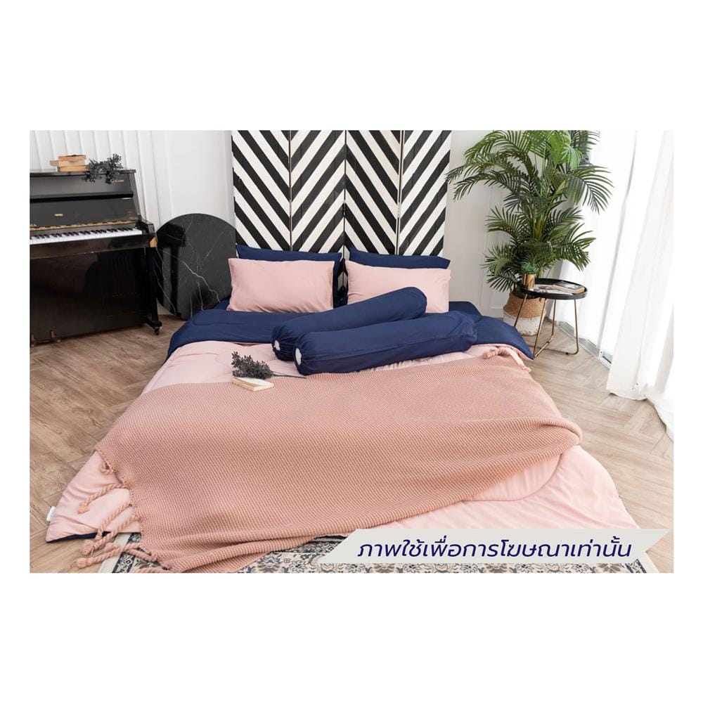 ชุดผ้าปูที่นอน 6 ฟุต (ชุด 6 ชิ้น) SANTA BEDDING สี NAVY BLUE/PINK
