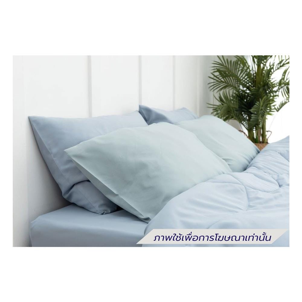 ชุดผ้าปูที่นอน 3.5 ฟุต (ชุด 4 ชิ้น) SANTA BEDDING สี LIGHT BLUE/LIGHT GREEN