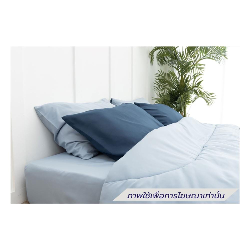 ชุดผ้าปูที่นอน 3.5 ฟุต (ชุด 4 ชิ้น) SANTA BEDDING สี LIGHT BLUE/NAVY BLUE
