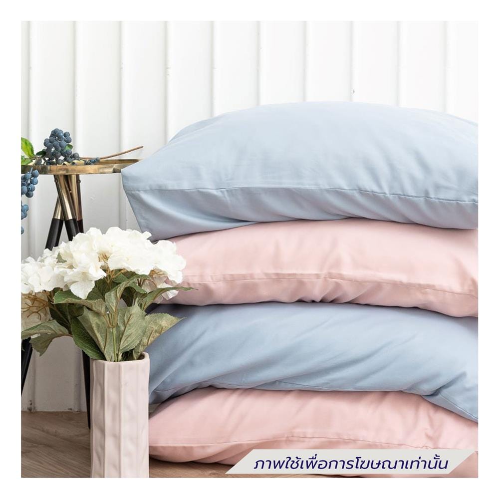 ชุดผ้าปูที่นอน 3.5 ฟุต (ชุด 4 ชิ้น) SANTA BEDDING สี LIGHT BLUE/PINK