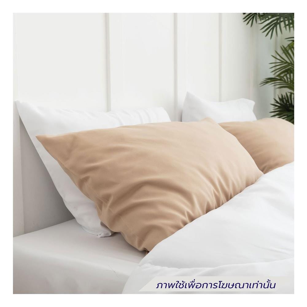ชุดผ้าปูที่นอน 6 ฟุต (ชุด 6 ชิ้น) SANTA BEDDING สี WHITE/BROWN