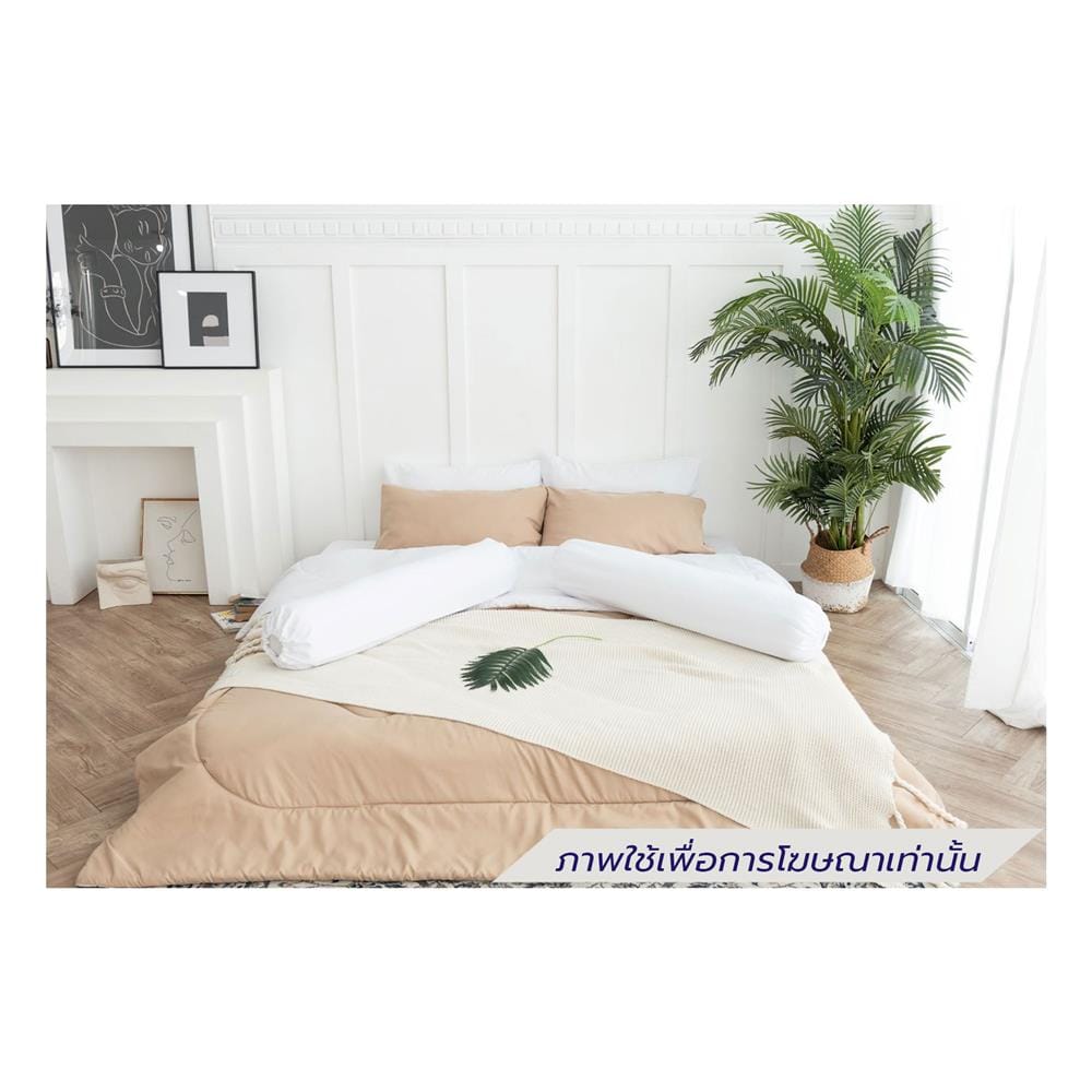 ชุดผ้าปูที่นอน 6 ฟุต (ชุด 6 ชิ้น) SANTA BEDDING สี WHITE/BROWN