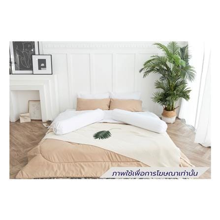 ชุดผ้าปูที่นอน 6 ฟุต (ชุด 6 ชิ้น) SANTA BEDDING สี WHITE/BROWN_0