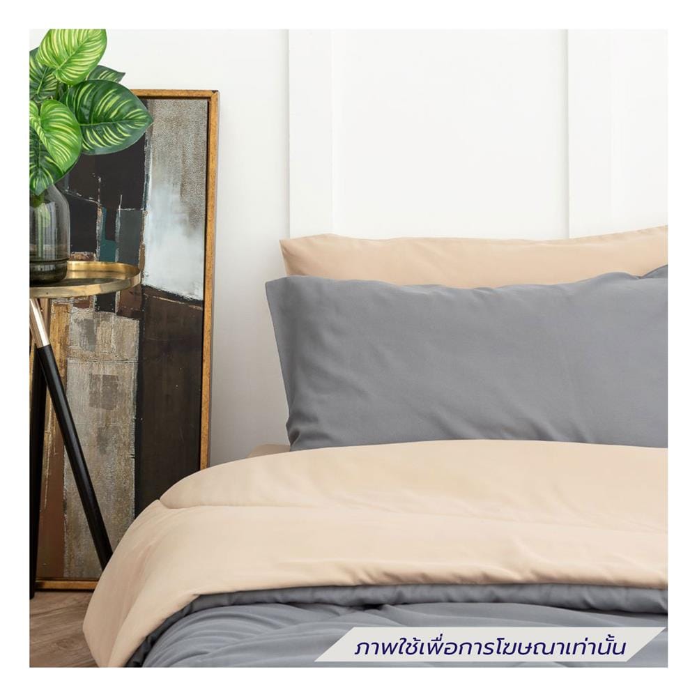 ชุดผ้าปูที่นอน 3.5 ฟุต (ชุด 4 ชิ้น) SANTA BEDDING สี BROWN/GREY