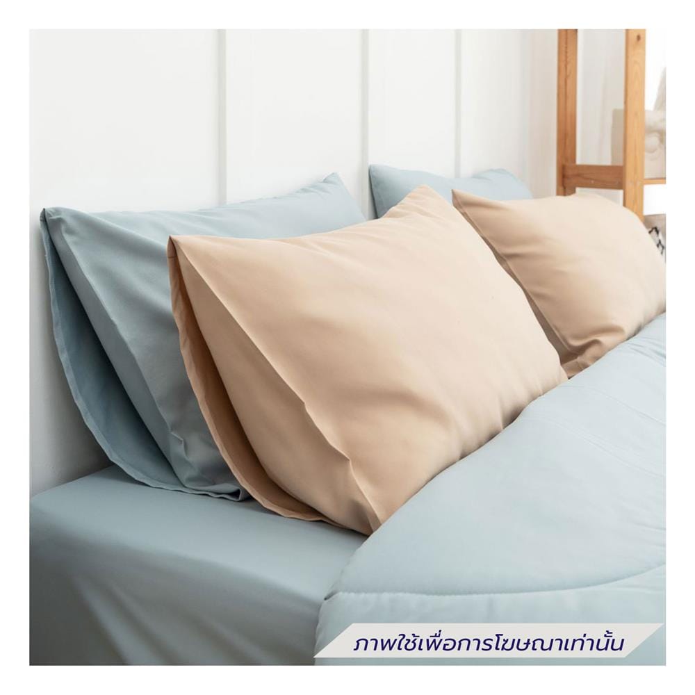ชุดผ้าปูที่นอน 6 ฟุต (ชุด 6 ชิ้น) SANTA BEDDING สี LIGHT BLUE/CREAM