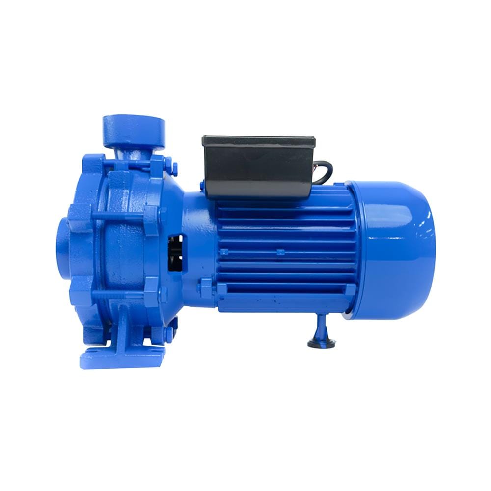 ปั๊มหอยโข่ง RADISON 2RDC50/300 3HP