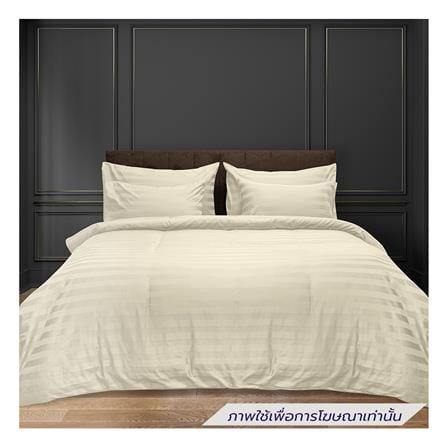 ผ้าปูที่นอน PICASSO COTTON STRIPE 630TC 42x78 นิ้ว สี CREAM_0