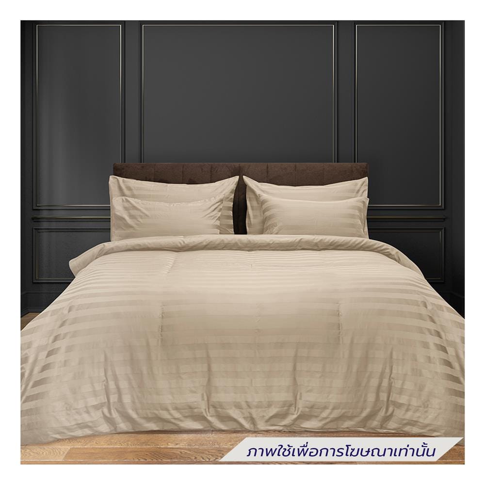 ผ้าปูที่นอน PICASSO COTTON STRIPE 630TC 42x78 นิ้ว สี BROWN