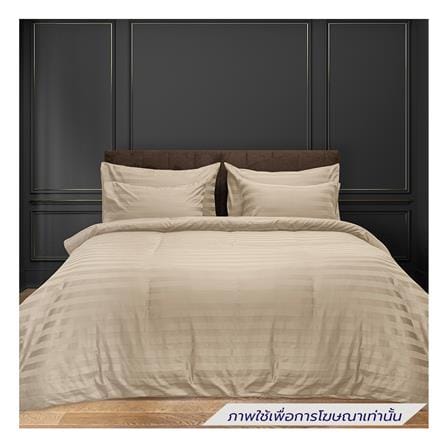 ผ้าปูที่นอน PICASSO COTTON STRIPE 630TC 42x78 นิ้ว สี BROWN_0