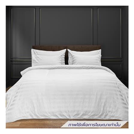 ผ้าปูที่นอน PICASSO COTTON STRIPE 630TC 60x78 นิ้ว สี WHITE_0