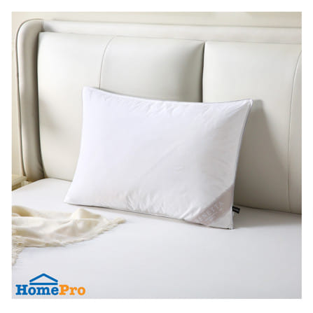 หมอนหนุน ขนเป็ด BENETTA DUCK DOWN SOFT 50x70 ซม. สีขาว_6