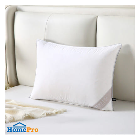 หมอนหนุน ขนเป็ด BENETTA DUCK DOWN FIRM 50x70 ซม. สีขาว_6