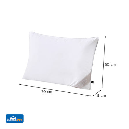 หมอนหนุน ขนเป็ด BENETTA DUCK DOWN FIRM 50x70 ซม. สีขาว_8