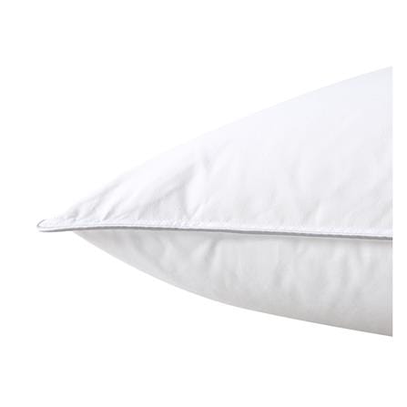 หมอนหนุน ขนเป็ด BENETTA DUCK DOWN FIRM 50x70 ซม. สีขาว_2