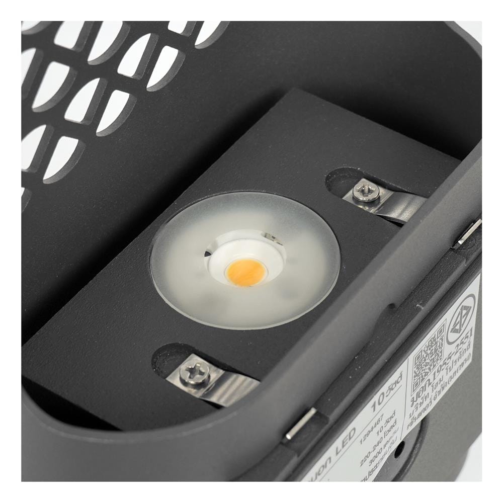 ไฟกิ่งภายนอก LED CARINI BO-GR2136S 10 วัตต์ WARM WHITE สีบรอนซ์