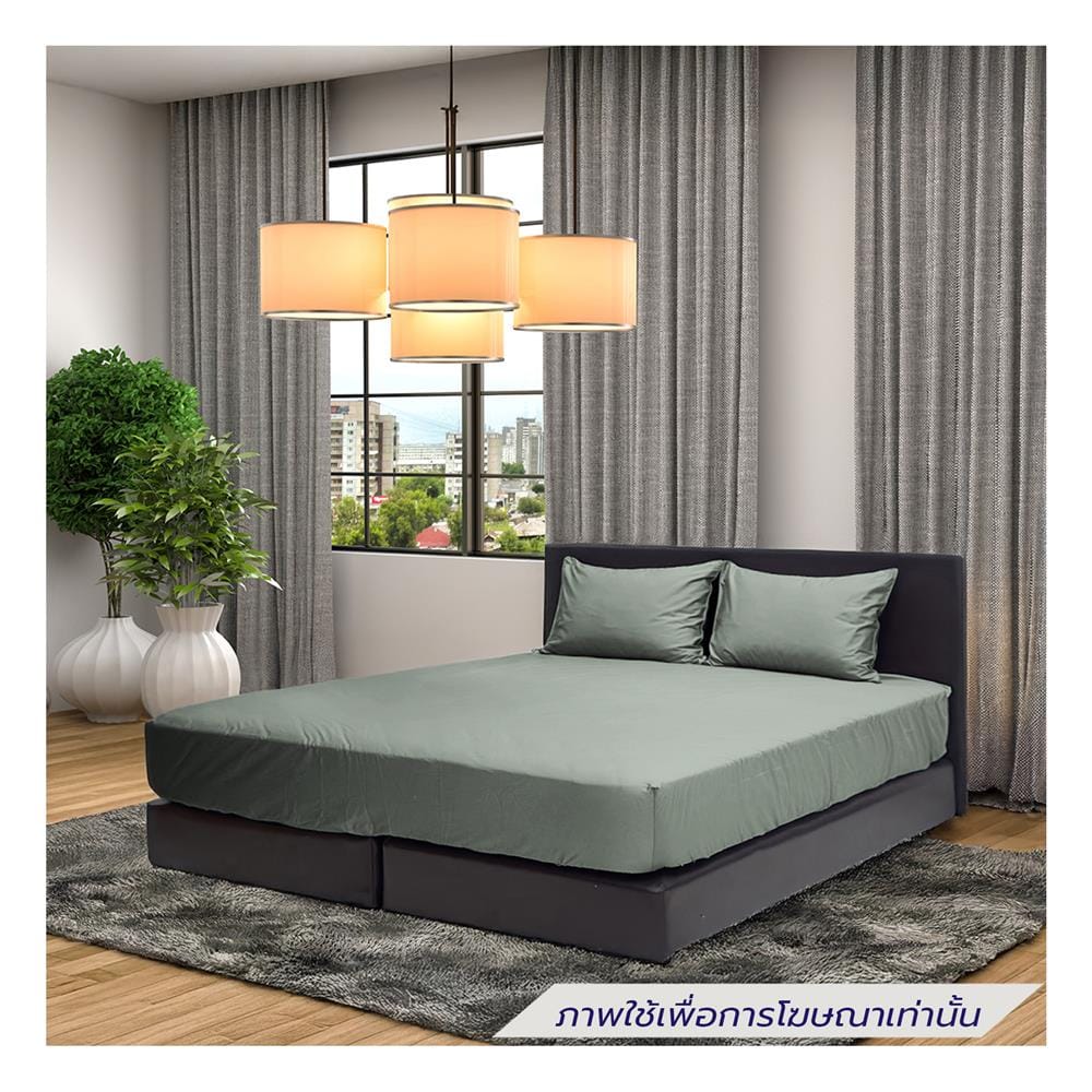 ชุดผ้าปูที่นอน 3.5 ฟุต (ชุด 3 ชิ้น) STEVENS PURE COTTON PZ02GN