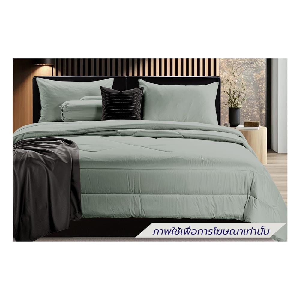 ชุดผ้าปูที่นอน 6 ฟุต (ชุด 6 ชิ้น) STEVENS PURE COTTON PZ02GN
