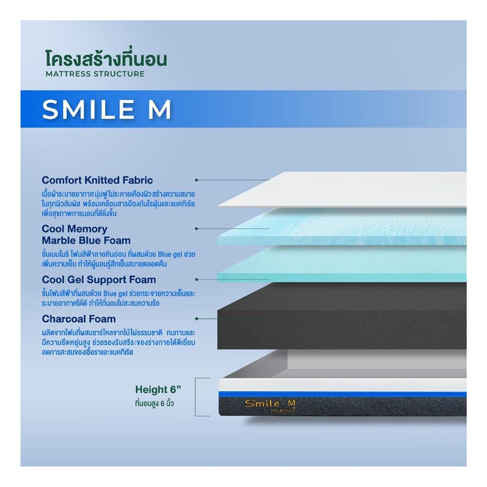 ที่นอนเมมโมรี่โฟม 6 ฟุต สุญญากาศ PICASSO รุ่น SMILE M พร้อมหมอนหนุน 2 ใบ