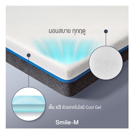 ที่นอน 6 ฟุต PICASSO SMILE M 4 นิ้ว (พร้อมหมอนหนุน 2 ใบ)_8