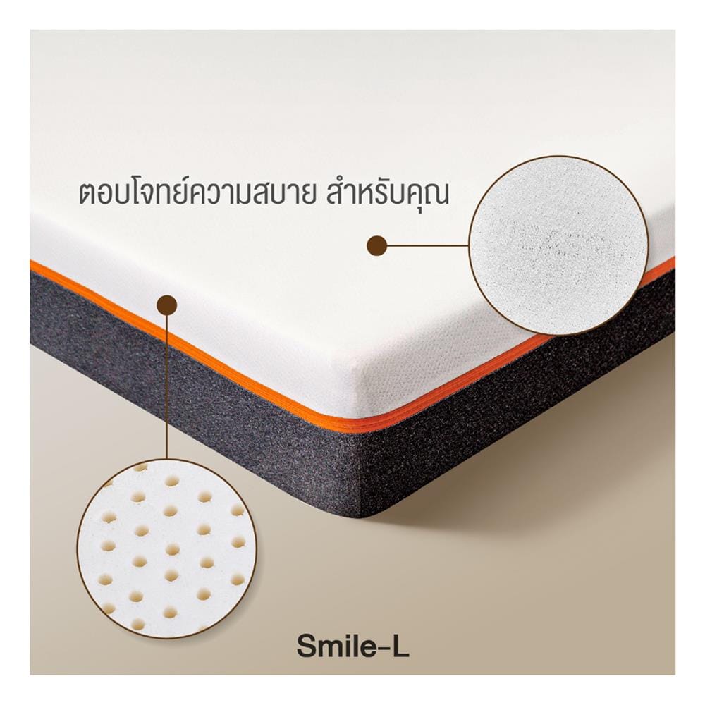 ที่นอนยางพารา 5 ฟุต สุญญากาศ PICASSO รุ่น SMILE L พร้อมหมอนหนุน 2 ใบ