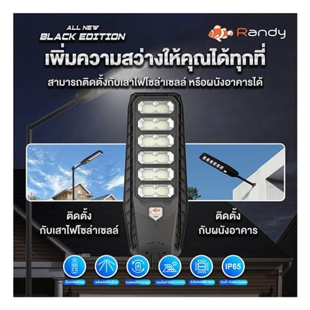 ไฟถนน SOLAR RANDY DW-LH9350 350 วัตต์ DAYLIGHT สีดำ_7