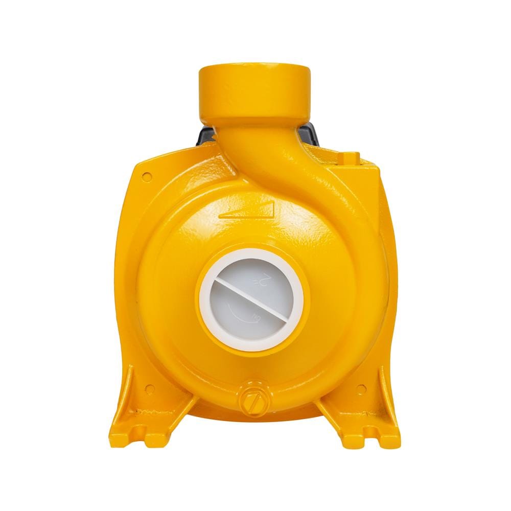 ปั๊มหอยโข่ง DEXZON HPA 2 แรงม้า