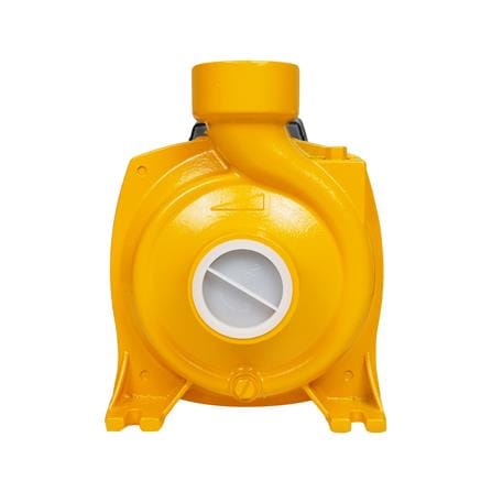 ปั๊มหอยโข่ง DEXZON HPA 2 แรงม้า_1