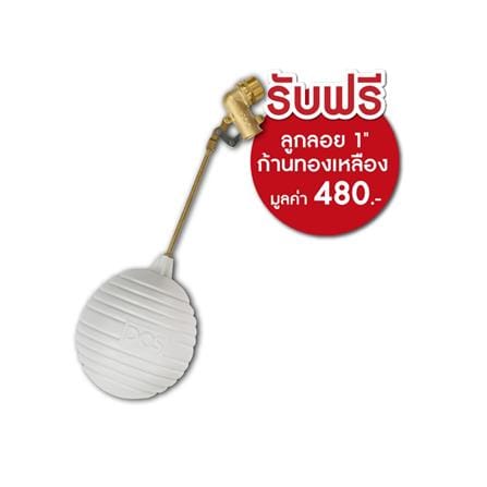 ถังเก็บน้ำ DOS WATER PAC DX5 1000 ลิตร+ปั๊ม HITACHI WMP150XX2 150 วัตต์+เครื่องกรองน้ำใช้ DUPONT สีเทา_1