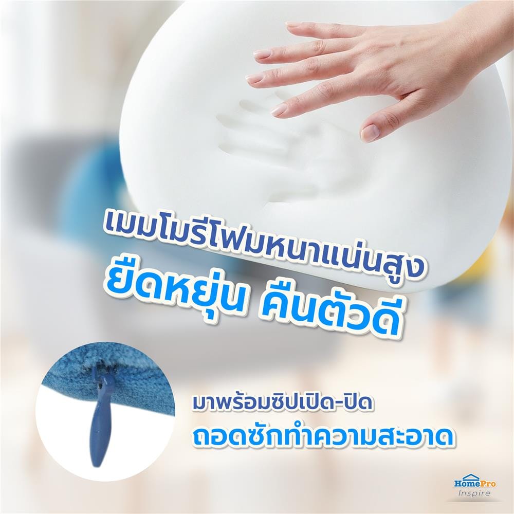 เบาะรองหลัง SNAZZ LITTLE-P 16.5X13 นิ้ว สีฟ้า