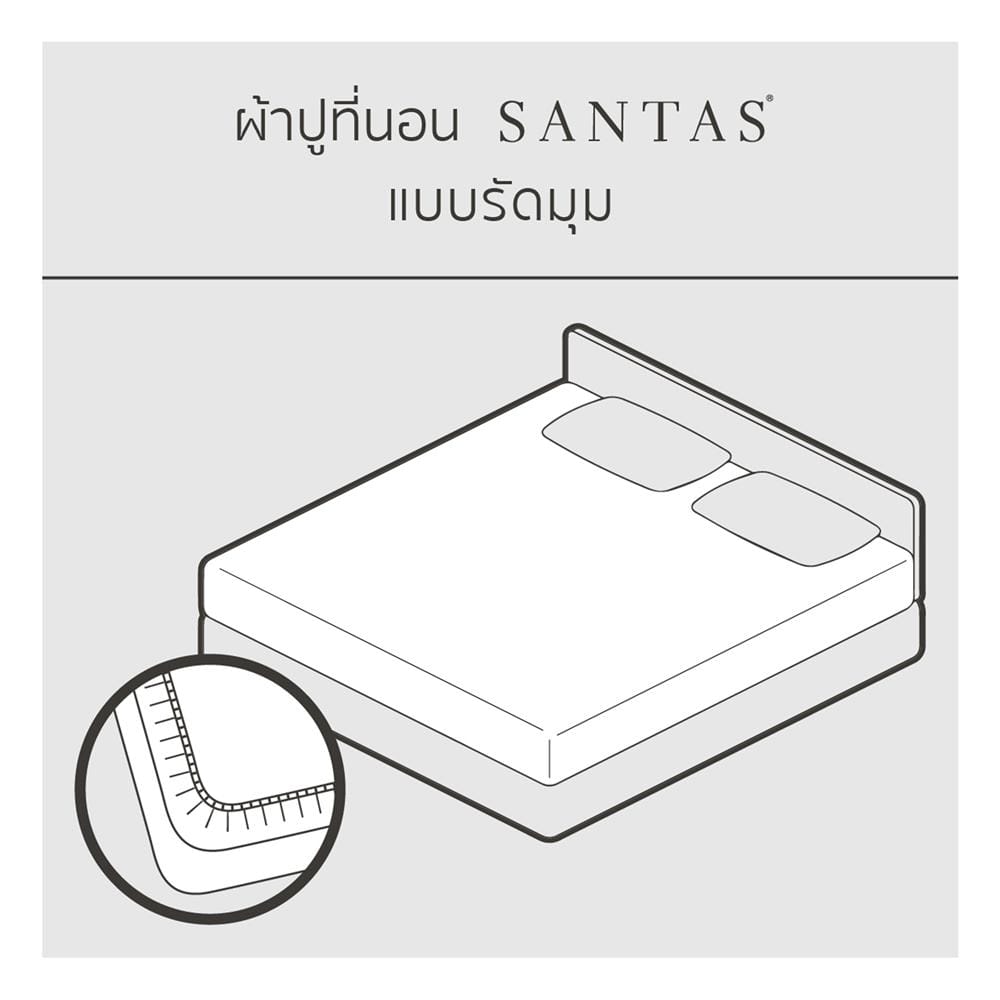 ชุดผ้าปูที่นอน 6 ฟุต (ชุด 6 ชิ้น) SANTAS COTTON USA SWEET PEA PI
